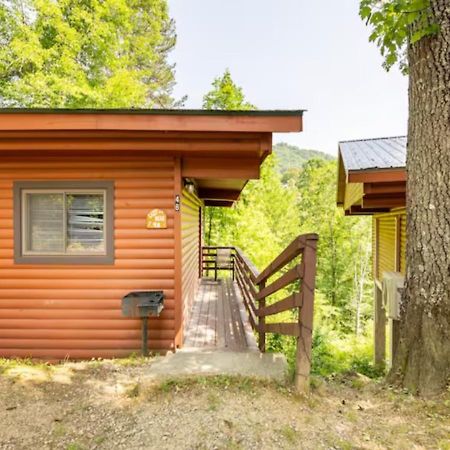 Lazy Bear Cabin Near Nantahala Outdoor Center And Bryson City Esterno foto