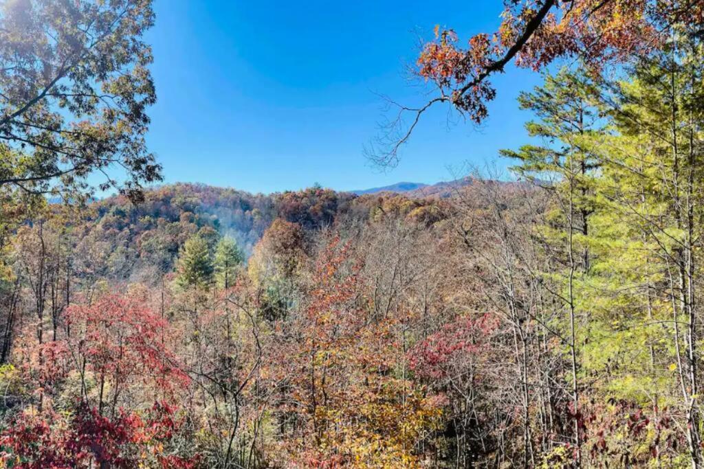 Lazy Bear Cabin Near Nantahala Outdoor Center And Bryson City Esterno foto