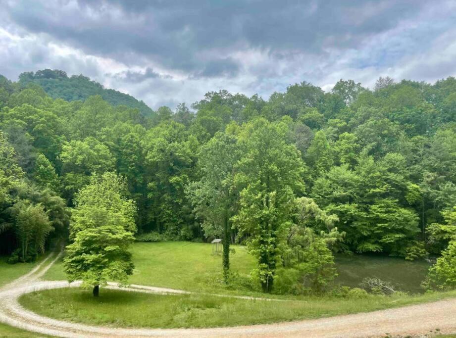 Lazy Bear Cabin Near Nantahala Outdoor Center And Bryson City Esterno foto