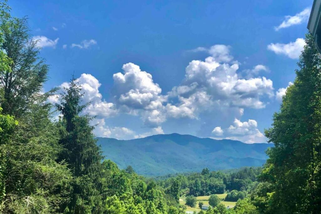 Lazy Bear Cabin Near Nantahala Outdoor Center And Bryson City Esterno foto