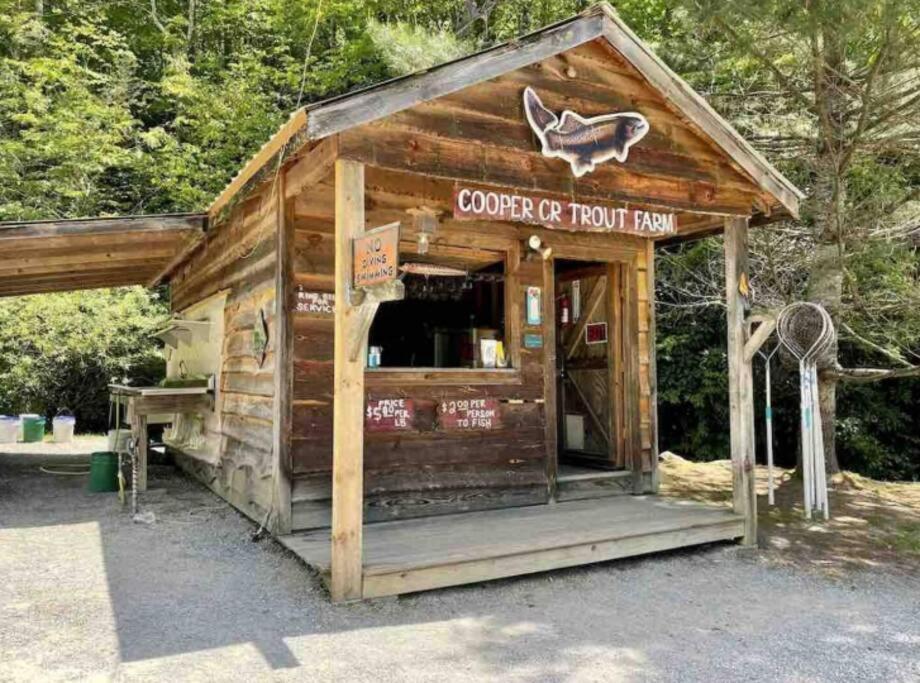 Lazy Bear Cabin Near Nantahala Outdoor Center And Bryson City Esterno foto