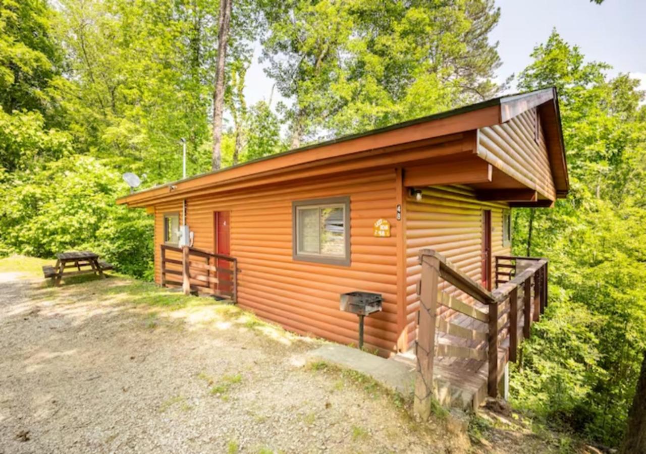 Lazy Bear Cabin Near Nantahala Outdoor Center And Bryson City Esterno foto