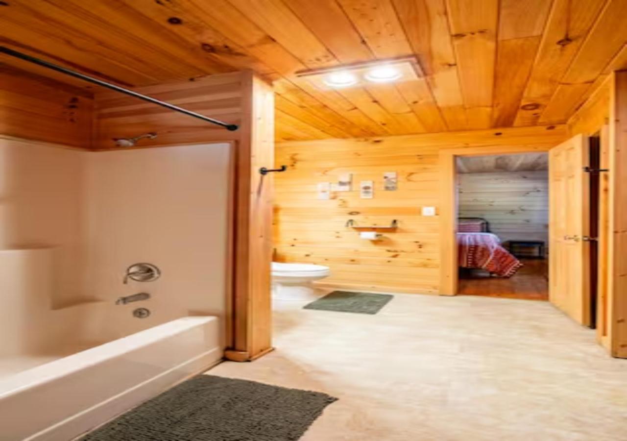 Lazy Bear Cabin Near Nantahala Outdoor Center And Bryson City Esterno foto