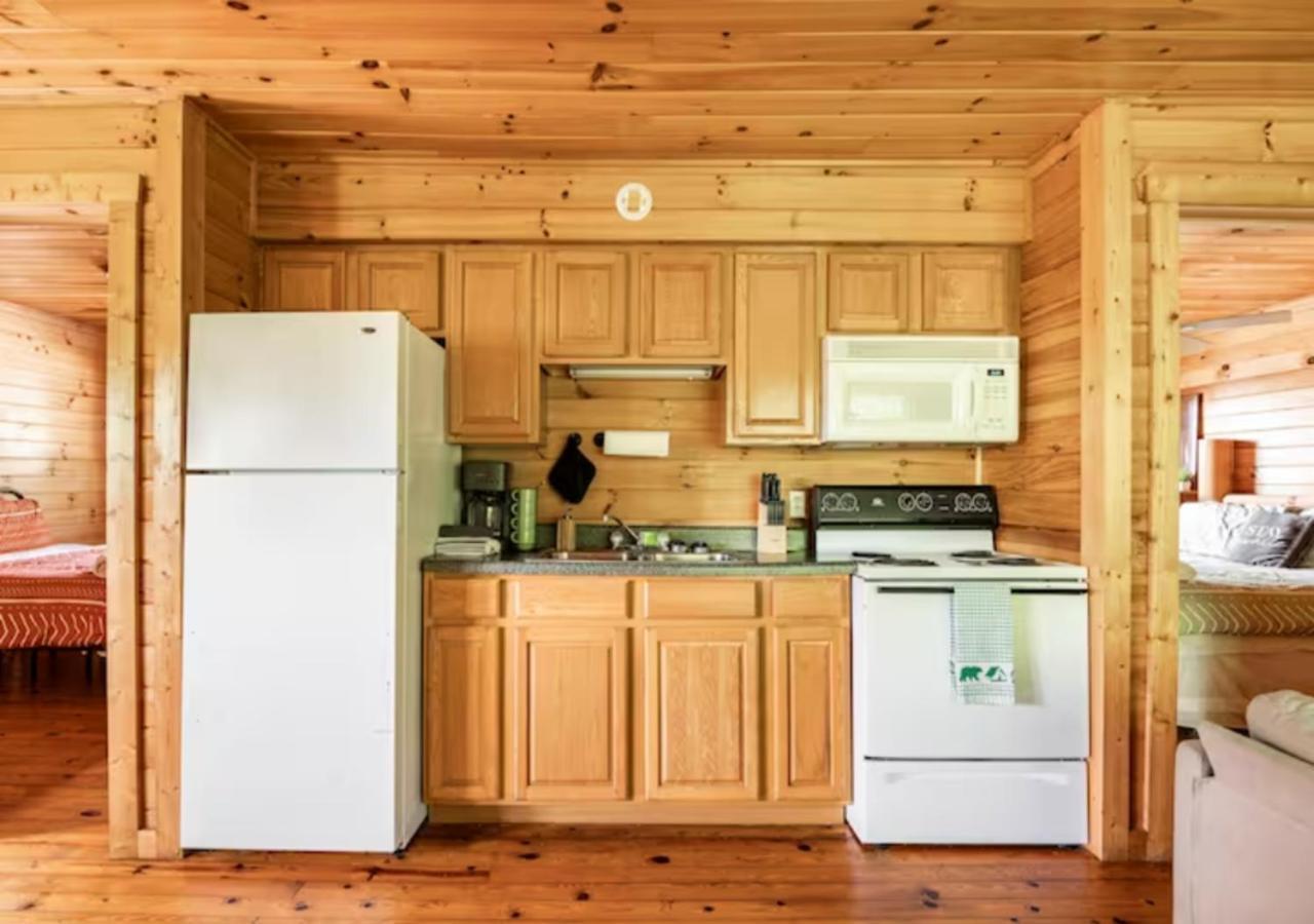 Lazy Bear Cabin Near Nantahala Outdoor Center And Bryson City Esterno foto